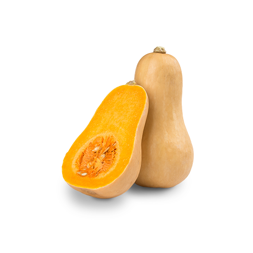 Butternut Squash